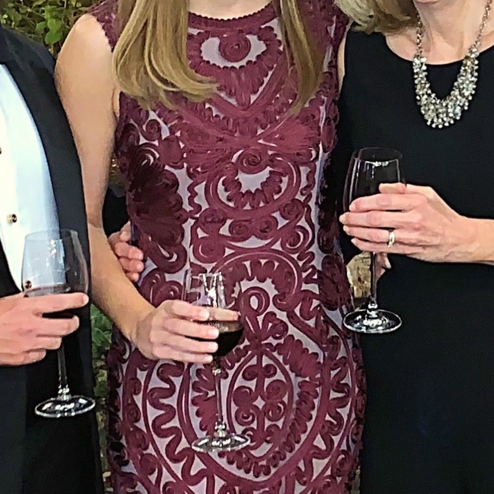 JS Collections midi embroidered cocktail dress